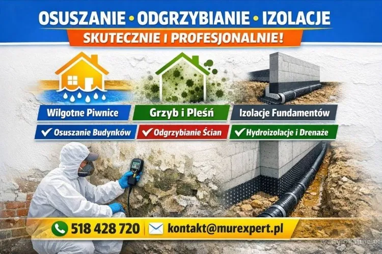 1_Profesjonalne_osuszanie_budynków_piwnic_odgrzybianie_izolacje_fundamentów_-_skuteczne_rozwiązania_dla_Twojego_domu1.webp