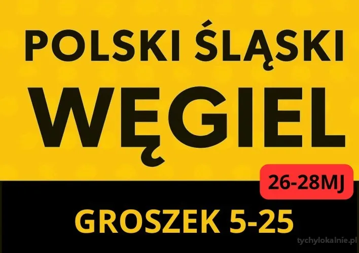 POLSKI_ŚLĄSKI_WĘGIEL_(2).webp