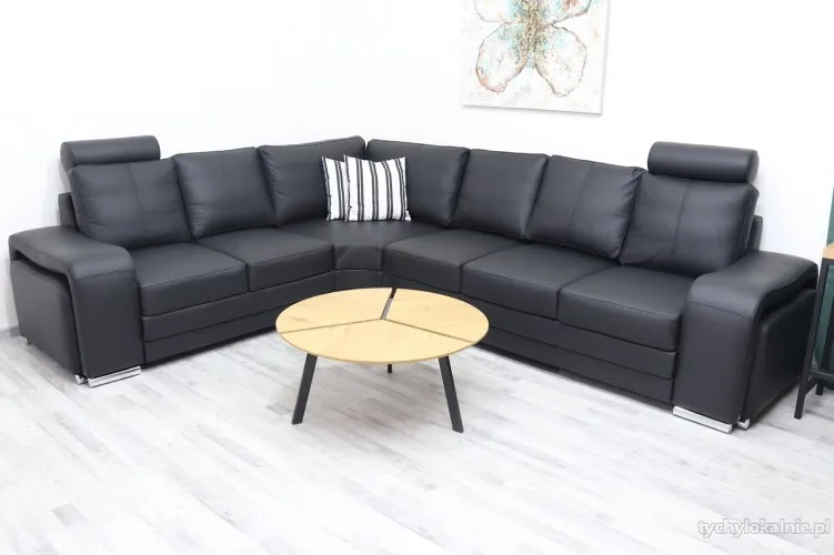 enzo_41.webp